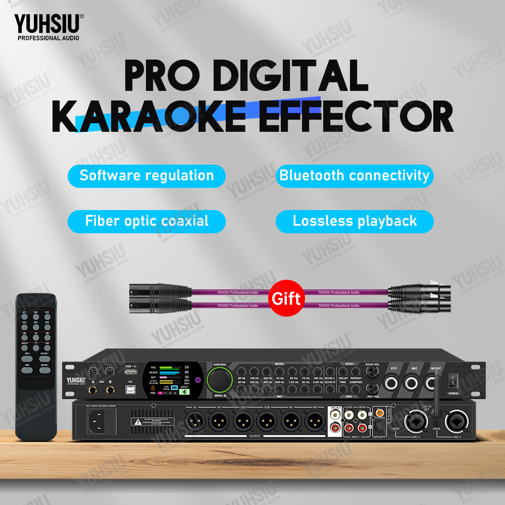 YUHSIU Karaoke Digital Effects - Audio Music Dj review and price