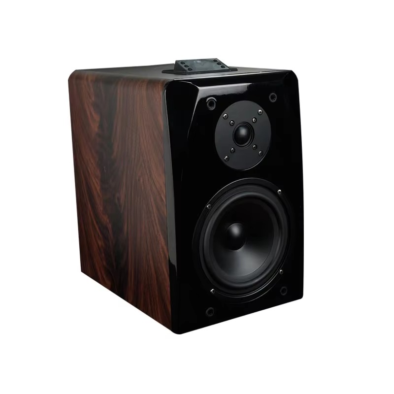 High Performance Active Karaok - Audio Music Dj review and price