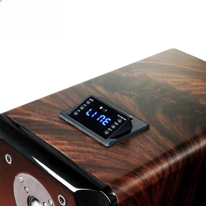 High Performance Active Karaok - Audio Music Dj review and price